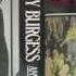 Novels Of Anthony Burgess 1985 89