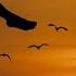 Omer Gigi In The Morning Melodic Progressive House