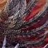 Psy Trance Space Cat Zodi Yuck