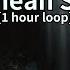 Subterranean Sanctuary 1 Hr Loop Island Sanctuary Cave Theme FFXIV OST