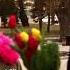 NO COMMENT Primăria Soroca A Felicitat Femeile De 8 Martie