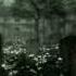 Innocent Deception Vocal Metal Gear Solid 1 2 3 4 Snake Eater Remix