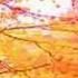 Dreamcatcher Secret Garden Lyrics Autumnal Effects