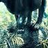 Amadea Music Productions Wilderness 2021 Full Album Interactive