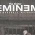 The Way I Am Cover Eminem The Jibster Audio