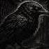 KBULL Crows Original Mix