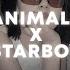 Animals X Starboy Slowed Reverb Tiktok Version