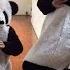 Desiigner Panda Pandas Gone Wild Edition