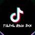 Furkan Soysal Benassi Bass Remix Tiktok