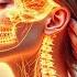 Health Beauty And Youth Will Return This Frequency Restores All You Ve Lost Reiki Music