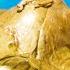 Mysterious Alien Egg Found In Alaska Season 5 The Proof Is Out There