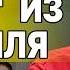 СОСКИН УСЛЫШЬТЕ СТРАШНУЮ ПРАВДУ О ПЕРЕМИРИИ НАСТОЯЩИЙ КОШМАР ЕЩЕ ВПЕРЕДИ ЗАПУЩЕН СЦЕНАРИЙ