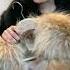 My Favorite Fur Coat Collection Fur Furcoat