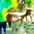 Super Broly Vs Z Broly Dragonball Vegeta Ccgoku Shorts Shortvideo Dontcheckthesound Fyp Cool