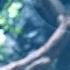 Beautiful Chinese Music Chinese Bamboo Flute Relaxing Music Moonlight Over The Lotus Pond