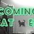 The Cat Empire Money Coming My Way Drum Cover