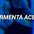 Lady Gaga Ariana Grande ARCA Rain On Me Remix Sub Español