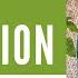 Installing Drip Irrigation In Vegetable Garden A Beginners Guide To Drip Irrigation