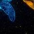 Cosmic Harmony Fall Asleep In 2 Minutes To Ocean Waves Heal Your Subconscious Body