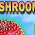 Uncovering The 𝗔𝗺𝗮𝗻𝗶𝘁𝗮 𝗠𝘂𝘀𝗰𝗮𝗿𝗶𝗮 World S Most Famous Mushroom