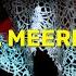 Bailando Con MR MEERKAT Ep 054 Nu Disco Funky House Mixtape