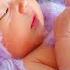 LAVENDER BEAUTY MEMORIES AS BLOOMING LOVE LIGHT SADNESS ANGELO CAMASSA With Venice In My Heart