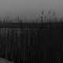My Last Song Instrumental Version The Eastern Plain