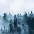 Viking Music Chill Good For Studying EPIC MUSIC NO COPYRIGHT Medieval Music 1 Hour Mix