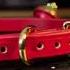 Red Series Collar