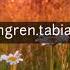 Ona Tabiat