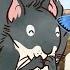 Guess How Much I Love You Compilation Little Grey Squirrel