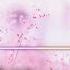 Inner Voice Petit Price Everyday Aikatsu Planet Preview Ver KAN ROM