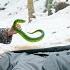 Dumped By Family Rural Girl Save Snake Bitten Single Dad In Snow Unaware He S Lost CEO Life Flips
