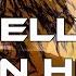 Tech House Nelly Hot In Herre Johny Gamble Edit