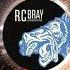 Expeditionary Force Critical Mass R C Bray Outtakes