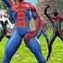 Spiderman Coffin Dance Meme COVER Shorts P352