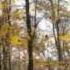 Autumn Wind Is Moaning Russian Romance B Shtokolov