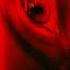 Leo Kodian What About You Official Audio