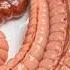 Intestines Slowed By Sitting Long Hours Animation Gut Health Human Anatomy Stomach AI Art 09