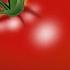 Tomato Loud Eating Sound