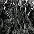 Darkthrone Old Star 2019 Full Album HD QUALITY