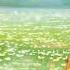 Guardian Tales BGM Town Of Flower Helena OST