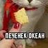 Идеальный вечер вечер кот смешноевидео