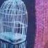 I Don T Want To Know Why The Caged Bird Sings Winter 2012 Full EP