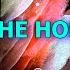 Over The Horizon 2021 Ringtone Samsung S21 Ultra