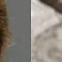 After 30 Years Of Marriage Wife Exposes Husband S Secret Life True Crime Episode Crime Story
