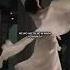 Deadman 死人 Omae Wa Mou Already Dead Lyrics M TΔLHΔ Trending Music Song Shorts Status