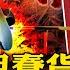 又一例不幸 護士哮喘發作 被自家醫院拒絕而死 大疫三年 中國人生不如死 病毒是美國人造的 上熱搜 民智不開 謠言遍佈 官媒由一群傻子運營是一大原因 新聞最嘲點 姜光宇 2022 0325