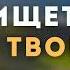 Бог ищет нас через творение Веселов Дмитрий Проповедь МСЦ ЕХБ