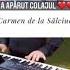 Carmen De La Sălciua Colaj 2020